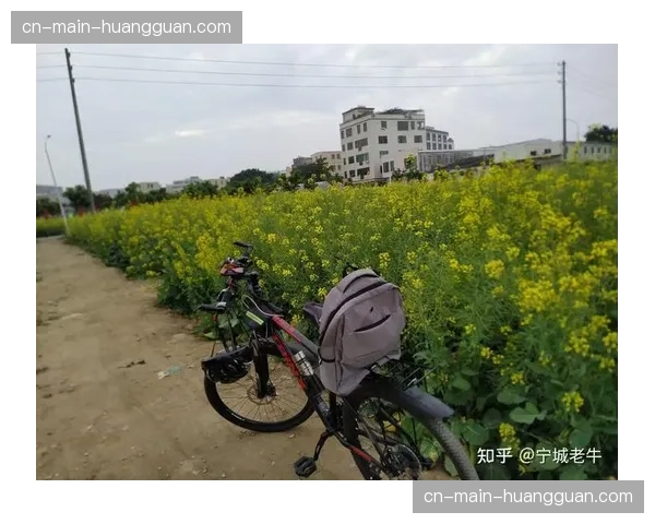 城市周边山地车公园游客量暴涨，“周末骑士”成消费主力